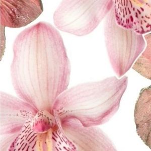 Meet your Posher, Lucy